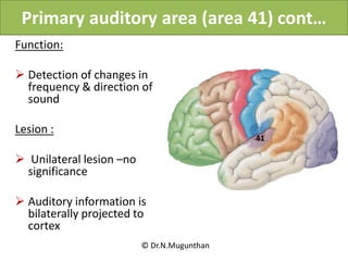 SULCI, GYRI & FUNCTIONAL AREAS OF CEREBRUM-Prof.Dr.N.Mugunthan KMMC.pdf