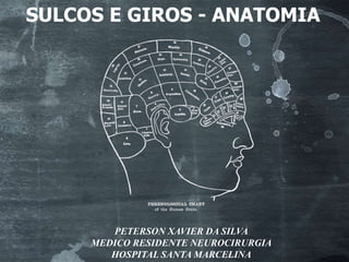 SULCOS E GIROS - ANATOMIA
PETERSON XAVIER DA SILVA
MEDICO RESIDENTE NEUROCIRURGIA
HOSPITAL SANTA MARCELINA
 