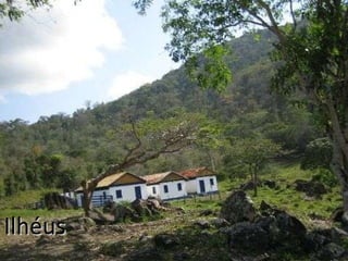 Ilhéus 