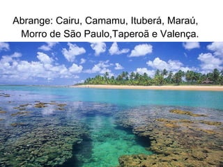 Abrange: Cairu, Camamu, Ituberá, Maraú, Morro de São Paulo,Taperoã e Valença. 