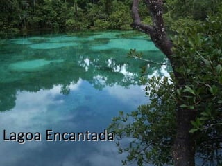 Lagoa Encantada 