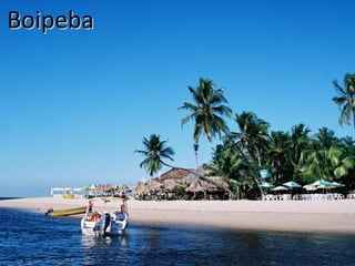 Boipeba

 