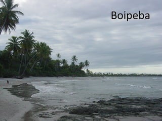 Boipeba

 