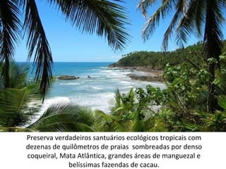 Preserva verdadeiros santuários ecológicos tropicais com
dezenas de quilômetros de praias sombreadas por denso
coqueiral, Mata Atlântica, grandes áreas de manguezal e
belíssimas fazendas de cacau.

 