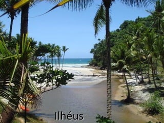 Ilhéus

 