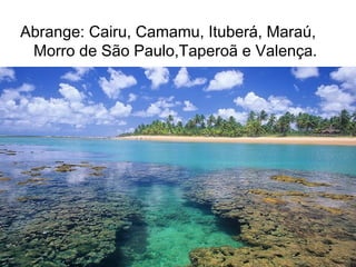 Abrange: Cairu, Camamu, Ituberá, Maraú,
Morro de São Paulo,Taperoã e Valença.

 