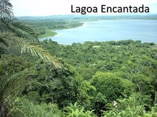 Lagoa Encantada

 