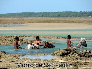 Morro de São Paulo

 