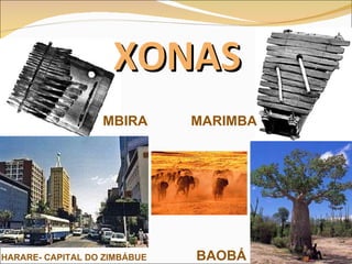 XONAS MBIRA MARIMBA HARARE- CAPITAL DO ZIMBÁBUE BAOBÁ 