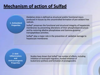 Sulfad Sulfad | PPSX