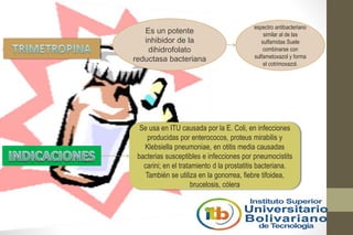 Es un potente
inhibidor de la
dihidrofolato
reductasa bacteriana
espectro antibacteriano
similar al de las
sulfamidas Suele
combinarse con
sulfametoxazol y forma
el cotrimoxazol.
Se usa en ITU causada por la E. Coli, en infecciones
producidas por enterococos, proteus mirabilis y
Klebsiella pneumoniae, en otitis media causadas
bacterias susceptibles e infecciones por pneumocistits
carini; en el tratamiento d la prostatitis bacteriana.
También se utiliza en la gonorrea, fiebre tifoidea,
brucelosis, cólera
 