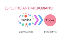 ESPECTRO ANTIMICROBIANO
Bacilos
gramnegativos
Cocos
grampositivos
 