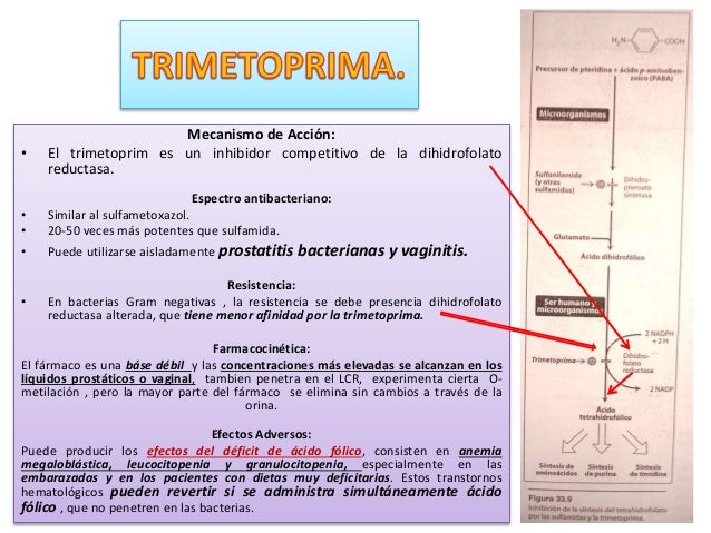 Sulfamidas (sulfisoxazol, sulfadiacina) - FARMACOLOGÍA Sulfamidas (sulfisoxazol, sulfadiacina) - FARMACOLOGÍA
