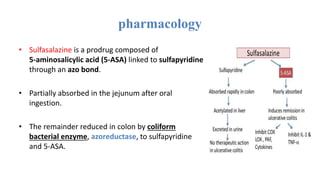 pharmacology
• Sulfasalazine is a prodrug composed of
5-aminosalicylic acid (5-ASA) linked to sulfapyridine
through an azo bond.
• Partially absorbed in the jejunum after oral
ingestion.
• The remainder reduced in colon by coliform
bacterial enzyme, azoreductase, to sulfapyridine
and 5-ASA.
 