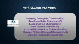 THE MAJOR PLAYERS
Liaoyang Guanghua Chemical(CN)
Sumitomo Seika Chemical(JP)
Liaodong Fine Chemical(CN)
New Japan Chemical(JP)
Jinzhou Petrochemical Corporation(CN)
Chevron Phillips Chemical Company(US)
Changle Haizhou Chemical(CN)
 