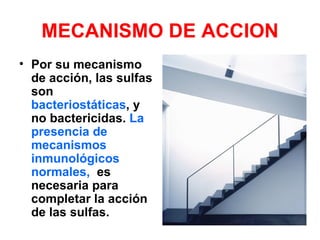 MECANISMO DE ACCION
• Por su mecanismo
  de acción, las sulfas
  son
  bacteriostáticas, y
  no bactericidas. La
  presencia de
  mecanismos
  inmunológicos
  normales, es
  necesaria para
  completar la acción
  de las sulfas.
 