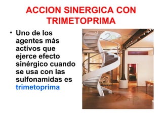 ACCION SINERGICA CON
       TRIMETOPRIMA
• Uno de los
  agentes más
  activos que
  ejerce efecto
  sinérgico cuando
  se usa con las
  sulfonamidas es
  trimetoprima
 