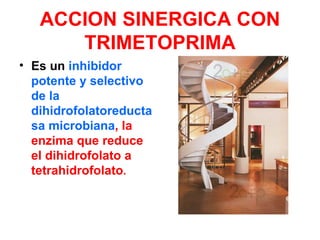 ACCION SINERGICA CON
      TRIMETOPRIMA
• Es un inhibidor
  potente y selectivo
  de la
  dihidrofolatoreducta
  sa microbiana, la
  enzima que reduce
  el dihidrofolato a
  tetrahidrofolato.
 