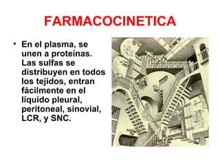 FARMACOCINETICA
• En el plasma, se
  unen a proteínas.
  Las sulfas se
  distribuyen en todos
  los tejidos, entran
  fácilmente en el
  líquido pleural,
  peritoneal, sinovial,
  LCR, y SNC.
 