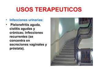 USOS TERAPEUTICOS
• Infecciones urinarias:
• Pielonefritis aguda,
  cistitis agudas y
  crónicas; infecciones
  recurrentes (se
  concentra en
  secreciones vaginales y
  próstata).
 