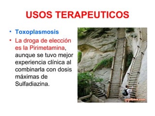 USOS TERAPEUTICOS
• Toxoplasmosis
• La droga de elección
  es la Pirimetamina,
  aunque se tuvo mejor
  experiencia clínica al
  combinarla con dosis
  máximas de
  Sulfadiazina.
 