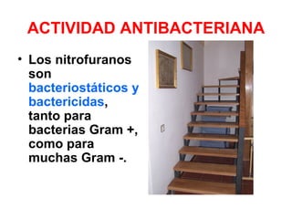 ACTIVIDAD ANTIBACTERIANA
• Los nitrofuranos
  son
  bacteriostáticos y
  bactericidas,
  tanto para
  bacterias Gram +,
  como para
  muchas Gram -.
 