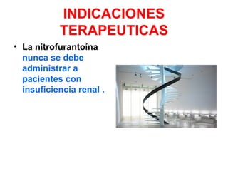INDICACIONES
           TERAPEUTICAS
• La nitrofurantoína
  nunca se debe
  administrar a
  pacientes con
  insuficiencia renal .
 