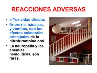 REACCIONES ADVERSAS
• a-Toxicidad directa:
• Anorexia, náuseas,
  y vómitos, son los
  efectos colaterales
  principales de la
  nitrofurantoína oral.
• La neuropatía y las
  anemias
  hemolíticas, son
  raras.
 