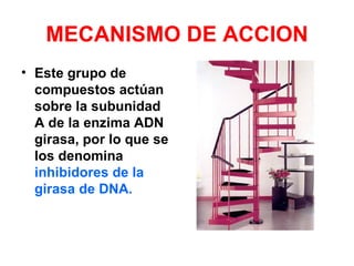 MECANISMO DE ACCION
• Este grupo de
  compuestos actúan
  sobre la subunidad
  A de la enzima ADN
  girasa, por lo que se
  los denomina
  inhibidores de la
  girasa de DNA.
 