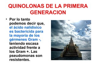 QUINOLONAS DE LA PRIMERA
       GENERACION
• Por lo tanto
  podemos decir que,
  el ácido nalidíxico
  es bactericida para
  la mayoría de los
  gérmenes Gram -,
  teniendo escasa
  actividad frente a
  los Gram +. Las
  pseudomonas son
  resistentes.
 