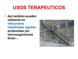 USOS TERAPEUTICOS
• Así también pueden
  utilizarse en
  infecciones
  intestinales agudas
  producidas por
  microorganismos
  Gram -.
 