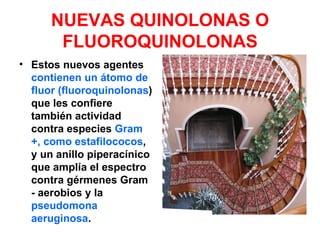 NUEVAS QUINOLONAS O
       FLUOROQUINOLONAS
• Estos nuevos agentes
  contienen un átomo de
  fluor (fluoroquinolonas)
  que les confiere
  también actividad
  contra especies Gram
  +, como estafilococos,
  y un anillo piperacínico
  que amplía el espectro
  contra gérmenes Gram
  - aerobios y la
  pseudomona
  aeruginosa.
 
