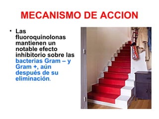 MECANISMO DE ACCION
• Las
  fluoroquinolonas
  mantienen un
  notable efecto
  inhibitorio sobre las
  bacterias Gram – y
  Gram +, aún
  después de su
  eliminación.
 