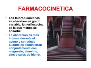 FARMACOCINETICA
• Las fluoroquinolonas,
  se absorben en grado
  variable, la norfloxacina
  es la que menos se
  absorbe.
• La absorción es más
  intensa durante el
  ayuno y se reduce
  cuando se administran
  conjuntamente con
  magnesio, aluminio,
  zinc o sales de hierro.
 