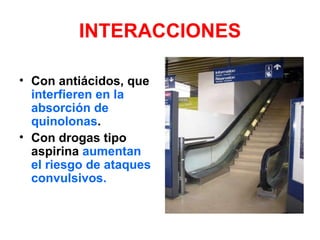 INTERACCIONES

• Con antiácidos, que
  interfieren en la
  absorción de
  quinolonas.
• Con drogas tipo
  aspirina aumentan
  el riesgo de ataques
  convulsivos.
 