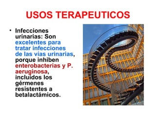 USOS TERAPEUTICOS
• Infecciones
  urinarias: Son
  excelentes para
  tratar infecciones
  de las vías urinarias,
  porque inhiben
  enterobacterias y P.
  aeruginosa,
  incluídos los
  gérmenes
  resistentes a
  betalactámicos.
 