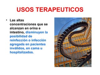 USOS TERAPEUTICOS
• Las altas
  concentraciones que se
  alcanzan en orina e
  intestino, disminuyen la
  posibilidad de
  reinfección o infección
  agregada en pacientes
  inválidos, en cama u
  hospitalizados.
 