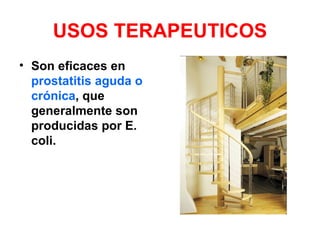 USOS TERAPEUTICOS
• Son eficaces en
  prostatitis aguda o
  crónica, que
  generalmente son
  producidas por E.
  coli.
 