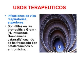 USOS TERAPEUTICOS
• Infecciones de vías
  respiratorias
  superiores:
• Son útiles en las
  bronquitis a Gram -
  (H. influenzae,
  Branhamella
  catarralis) cuando
  se ha fracasado con
  betalactámicos o
  eritromicina.
 