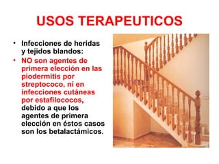 USOS TERAPEUTICOS
• Infecciones de heridas
  y tejidos blandos:
• NO son agentes de
  primera elección en las
  piodermitis por
  streptococo, ni en
  infecciones cutáneas
  por estafilococos,
  debido a que los
  agentes de primera
  elección en éstos casos
  son los betalactámicos.
 