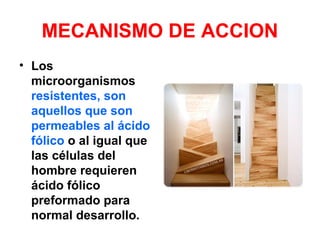MECANISMO DE ACCION
• Los
microorganismos
resistentes, son
aquellos que son
permeables al ácido
fólico o al igual que
las células del
hombre requieren
ácido fólico
preformado para
normal desarrollo.
 