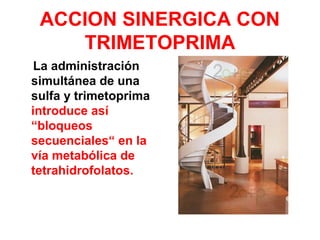 ACCION SINERGICA CON
TRIMETOPRIMA
La administración
simultánea de una
sulfa y trimetoprima
introduce así
“bloqueos
secuenciales“ en la
vía metabólica de
tetrahidrofolatos.
 
