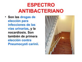 ESPECTRO
ANTIBACTERIANO
• Son las drogas de
elección para
infecciones de las
vías urinarias, y la
nocardiosis. Son
también de primera
elección contra
Pneumocysti carinii.
 
