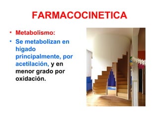 FARMACOCINETICA
• Metabolismo:
• Se metabolizan en
hígado
principalmente, por
acetilación, y en
menor grado por
oxidación.
 