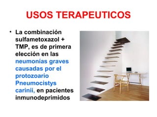 USOS TERAPEUTICOS
• La combinación
sulfametoxazol +
TMP, es de primera
elección en las
neumonías graves
causadas por el
protozoario
Pneumocistys
carinii, en pacientes
inmunodeprimidos
 