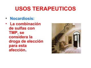 USOS TERAPEUTICOS
• Nocardiosis:
• La combinación
de sulfas con
TMP, se
considera la
droga de elección
para esta
afección.
 