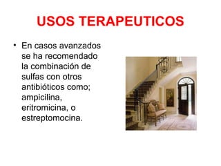 USOS TERAPEUTICOS
• En casos avanzados
se ha recomendado
la combinación de
sulfas con otros
antibióticos como;
ampicilina,
eritromicina, o
estreptomocina.
 