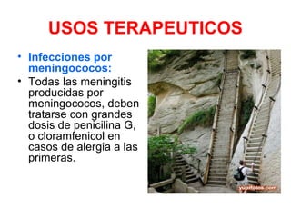 USOS TERAPEUTICOS
• Infecciones por
meningococos:
• Todas las meningitis
producidas por
meningococos, deben
tratarse con grandes
dosis de penicilina G,
o cloramfenicol en
casos de alergia a las
primeras.
 