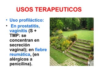 USOS TERAPEUTICOS
• Uso profiláctico:
• En prostatitis,
vaginitis (S +
TMP: se
concentran en
secreción
vaginal); en fiebre
reumática, (en
alérgicos a
penicilina).
 