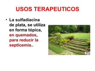 USOS TERAPEUTICOS
• La sulfadiacina
de plata, se utiliza
en forma tópica,
en quemados,
para reducir la
septicemia..
 